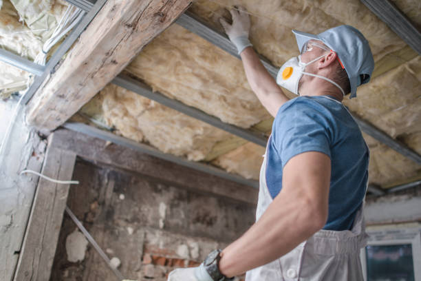 Best Attic Insulation Installation  in Eureka, MT